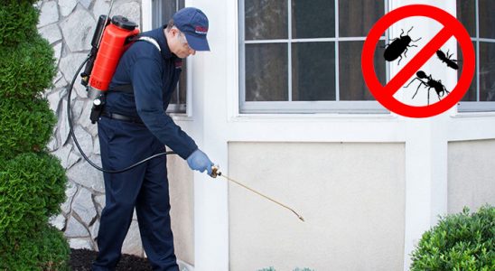 Çayeli Akrep İlaçlama böcek ilaçlama ve haşere kontrolü — ilaclama-tr.com